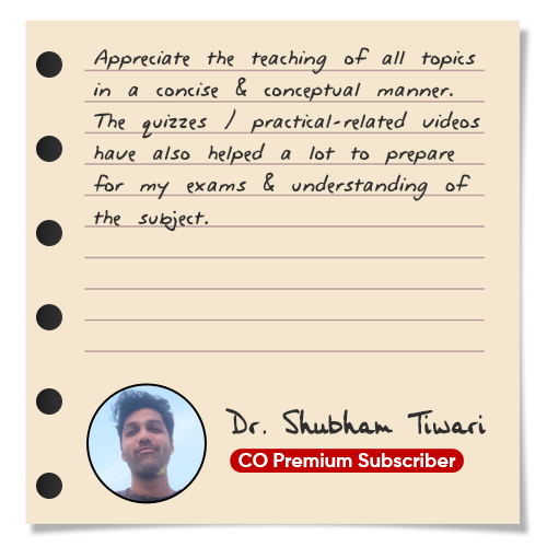 Review 5