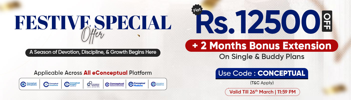 Festive-Special-website-banner (1)